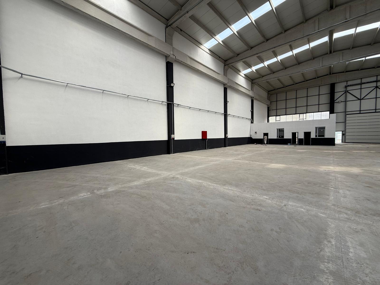 WhatsApp Image 2025-05-14 at 17.16.20.jpeg